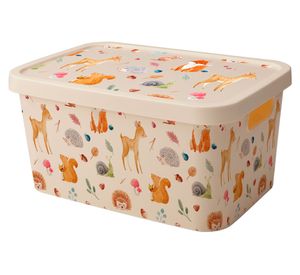 Caja organizadora Teen 20 lt