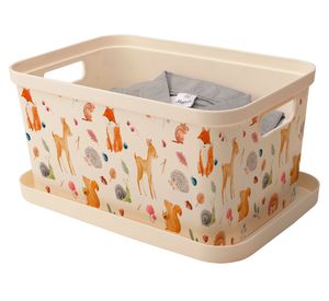 Caja organizadora Teen 20 lt