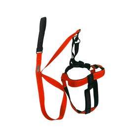 Arnés correa ajustable para mascotas naranjo