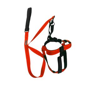 Arnés correa ajustable para mascotas naranjo
