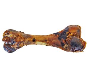 Hueso fémur adulto cerdo 1 un.