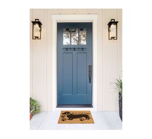 Limpiapiés Perro 40x60 cm