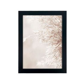 Marco foto Composición