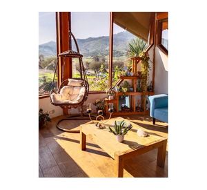 Silla colgante Nipona chocolate + cojín