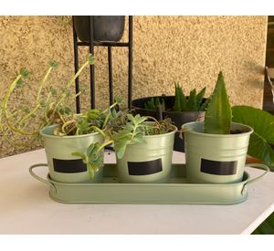 Set 3 maceteros pizarra + bandeja verde