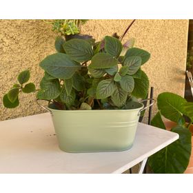 Macetero metálico verde menta 12x24x10 cm