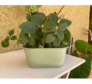 Macetero metálico verde menta 12x24x10 cm