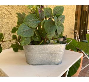 Macetero metálico gris 12x24x10 cm