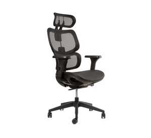 Silla de escritorio ergonómica Ergo plus negro