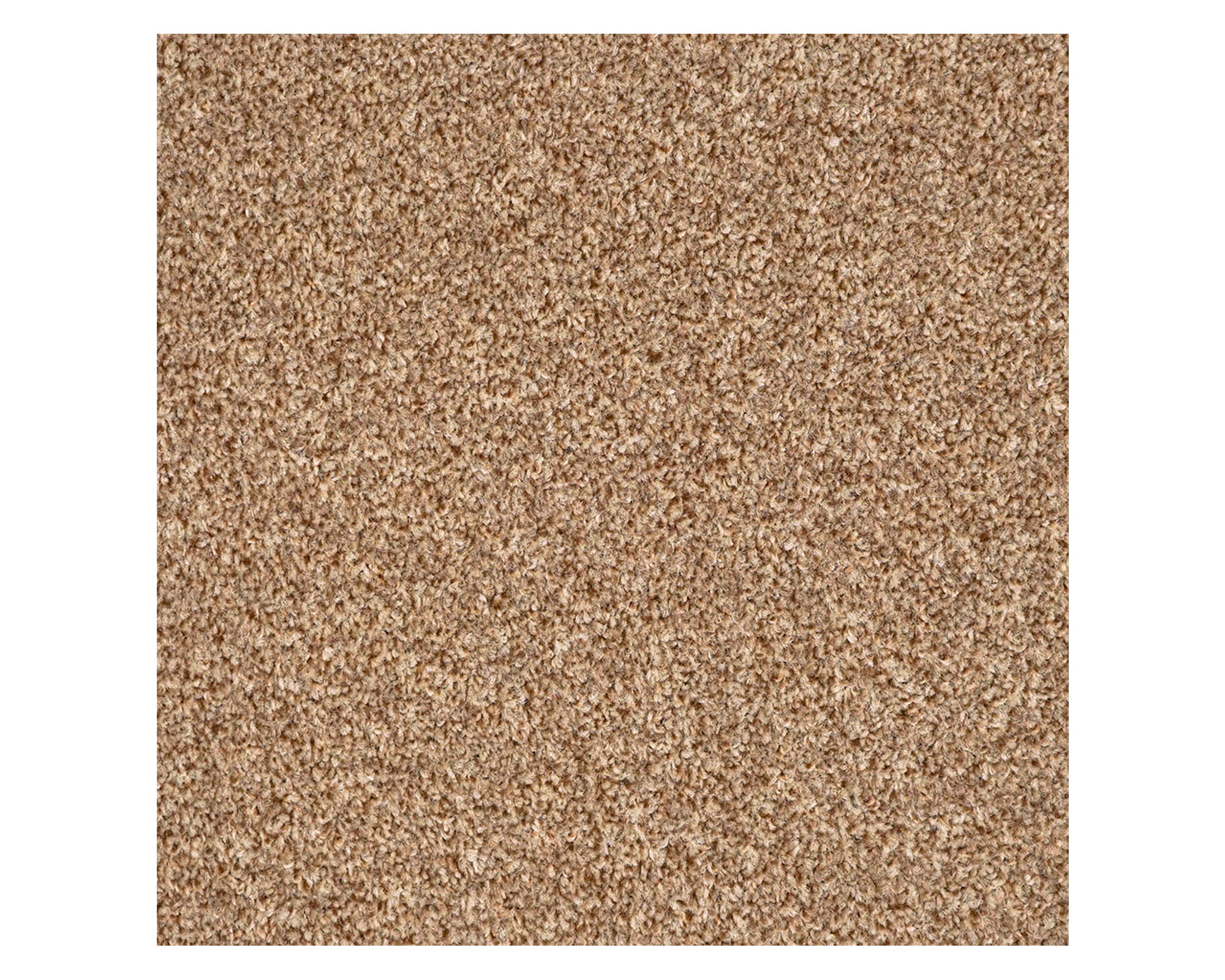 Alfombra Terra hazelnut 1 m2