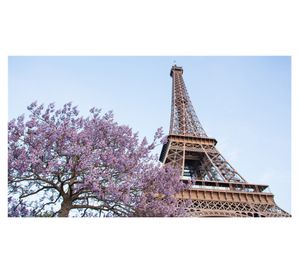 Cuadro canvas Paris 40x70x1.8 cm