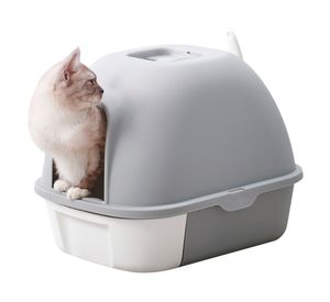 Baño gato bandeja removible