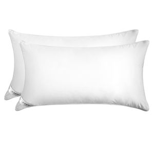 Almohada Fiber ball blanco 50x90 cm 2 un.