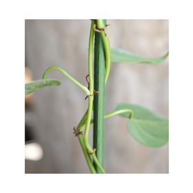 Tutor plástico para plantas 120 cm verde