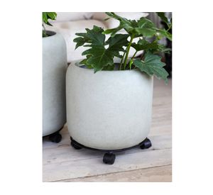 Transportador de plantas Plant Mover 15x40 cm metal
