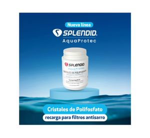 Recarga polifosfato para filtros antisarro 500 g