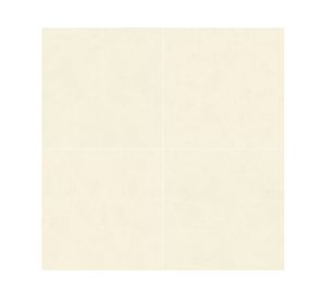 Porcelanato Century calcio 60x60 cm 2.88 m2