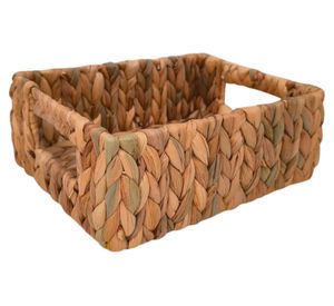 Canasto Jacinto Laura S