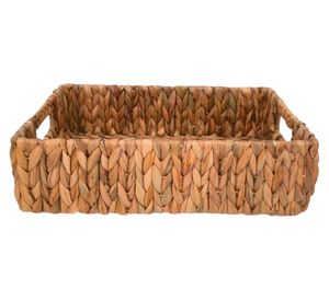 Canasto Jacinto Laura M