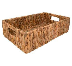 Canasto Jacinto Laura M