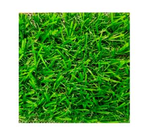 Pasto sintético HB Fresia verde 15 mm 200x500 cm