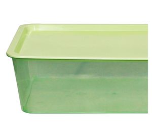 Caja organizadora salvia 13 lt