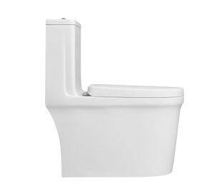 WC one piece a piso 30.5 cm Premier blanco