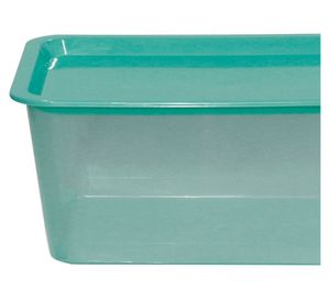 Caja organizadora salvia 6 lt