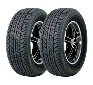 Neumático 225/70 R17 108S AT20 HT LT 2 unidades