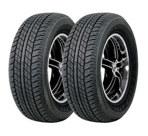 Neumático 245/65 17R 111S 2 unidades