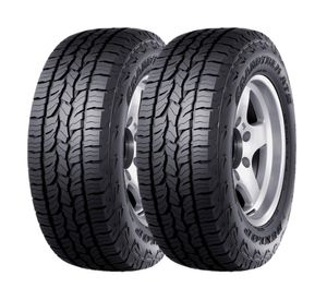 Neumático 225/65 17R 102H 2 unidades