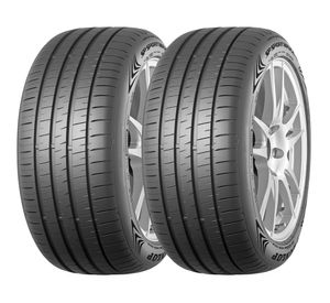 Neumático 255/55 19R 111W 2 unidades
