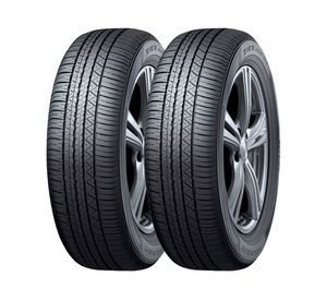 Neumático 225/55 18R 98V 2 unidades