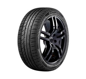 Neumático 205/55 R17 91V RXMotion RFT
