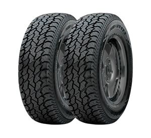 Neumático 215/75 15R 100S 2 unidades