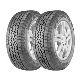 Neumático 285/45 22R 114H 2 unidades