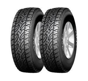 Neumático 255/70 15R 110S 2 unidades