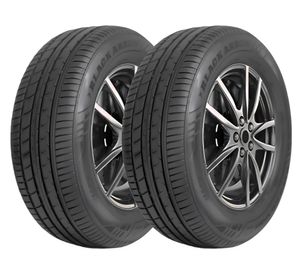 Neumático 265/45 21R 104W 2 unidades