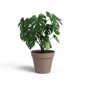 Maceta Capri taupe 30 cm