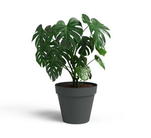 Maceta Capri antracita 30 cm