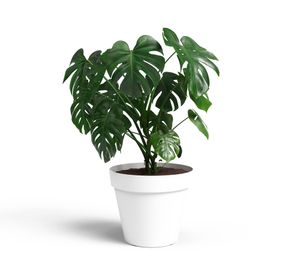 Maceta Capri blanco 30 cm