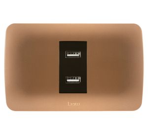 Placa armada USB 10A 250V café titanio