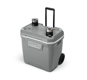 Cooler 316 con ruedas gris 61.5 lt