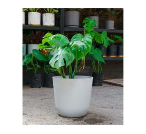 Macetero Madrid blanco 25x26.5 cm