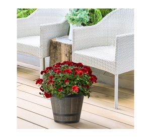 Maceta Barril arce 20.6 cm