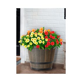 Maceta Barril arce 31.03 cm