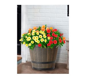 Maceta Barril arce 31.03 cm