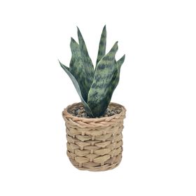 Planta artificial con maceta tejida 12 cm