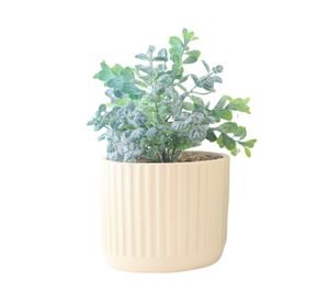 Maceta Amaranto beige 12 cm