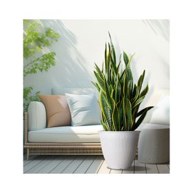 Maceta Billie blanco 44.45 cm